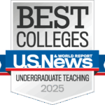 Best undergraduate teaching badge 